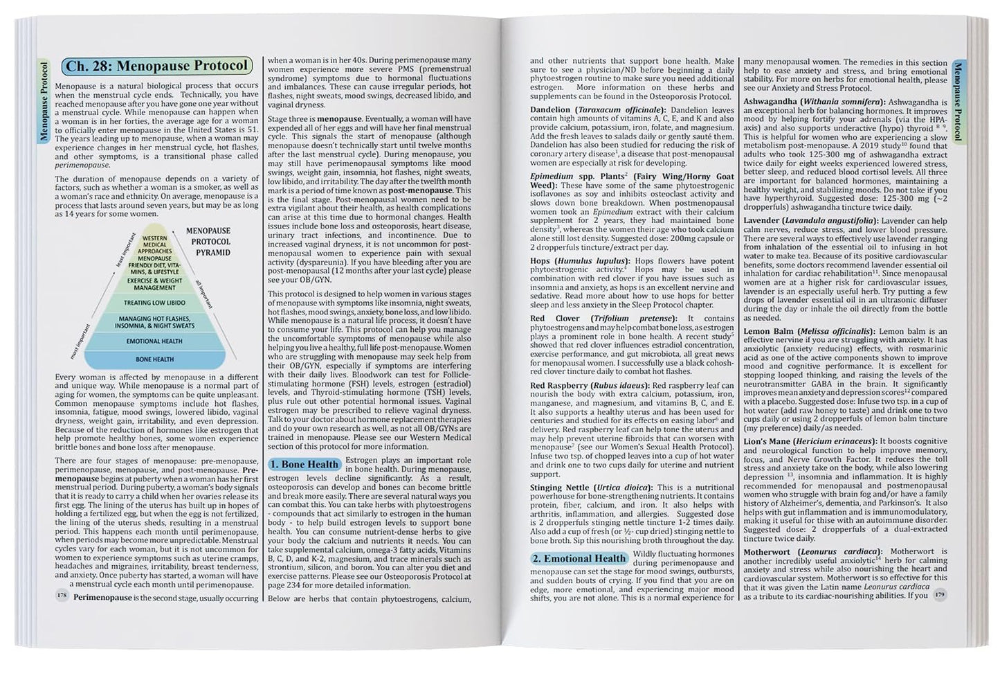 The Holistic Guide to Wellness – 316-Page Print Book