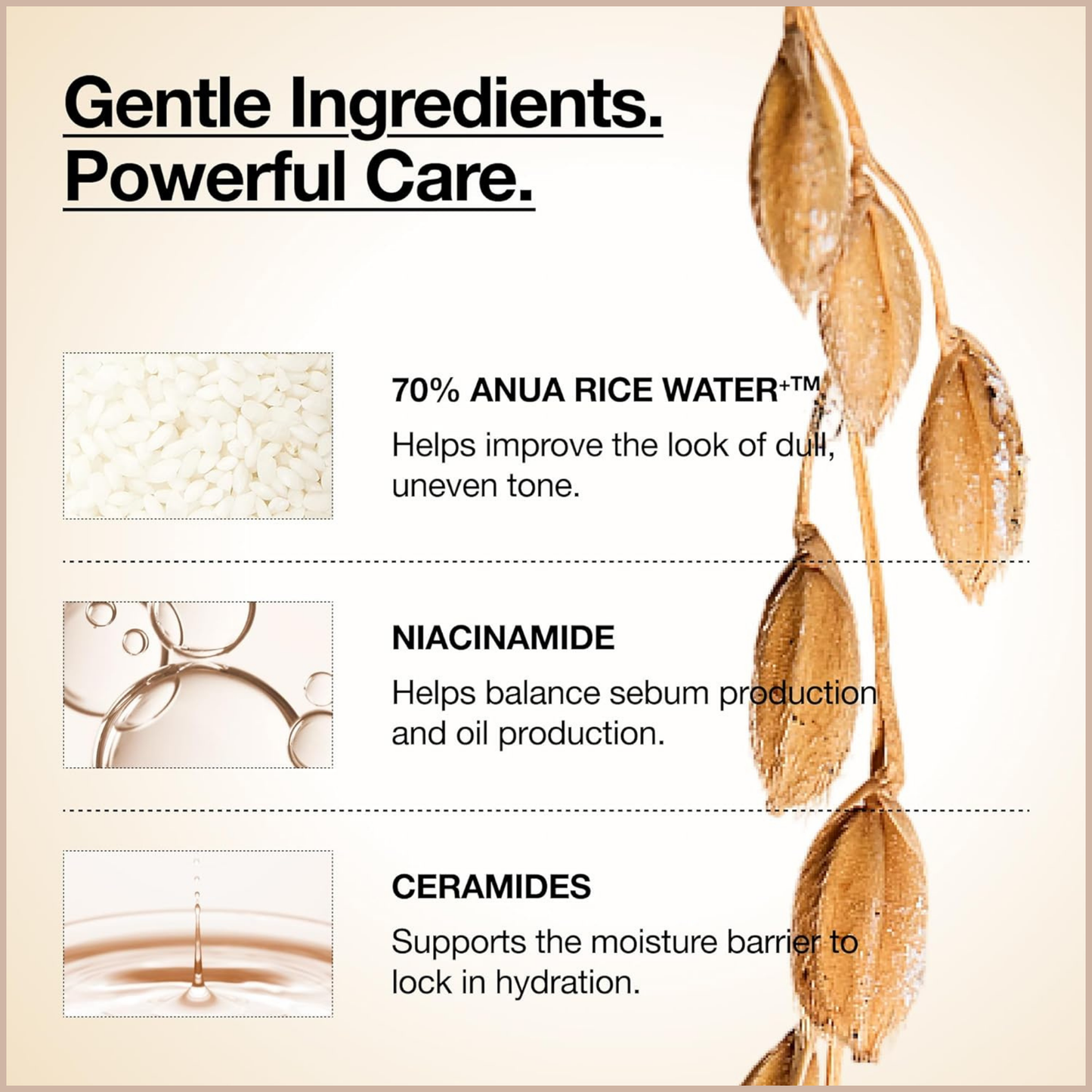 Rice Water & Niacinamide Milky Toner for Deep Hydration & Skin Barrier Support