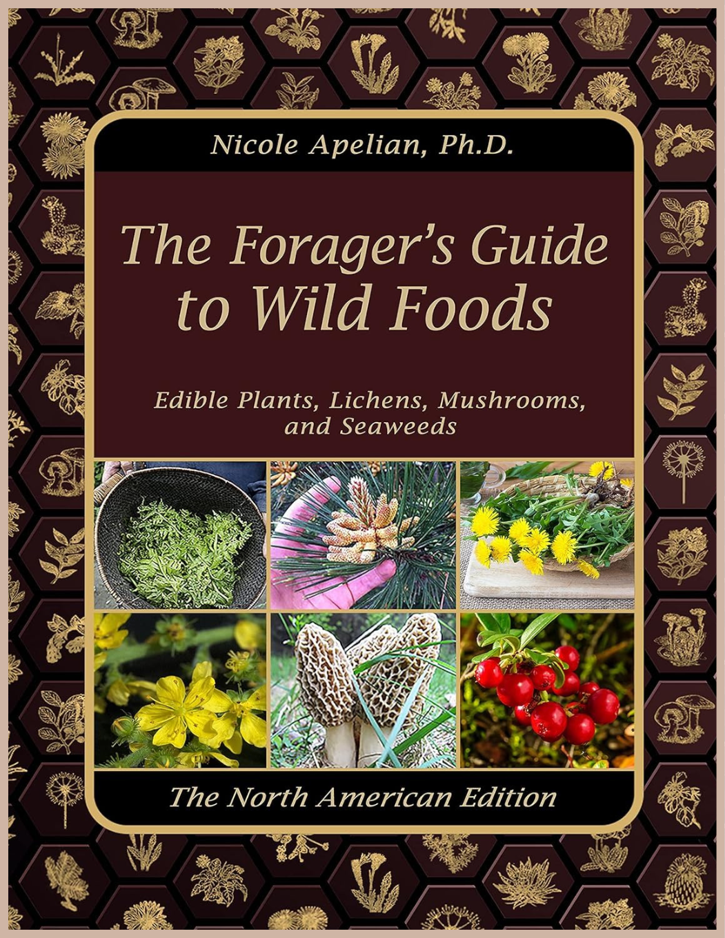 The Forager’s Guide to Wild Foods – Wild Edible Plants & Foraging Field Guide Book