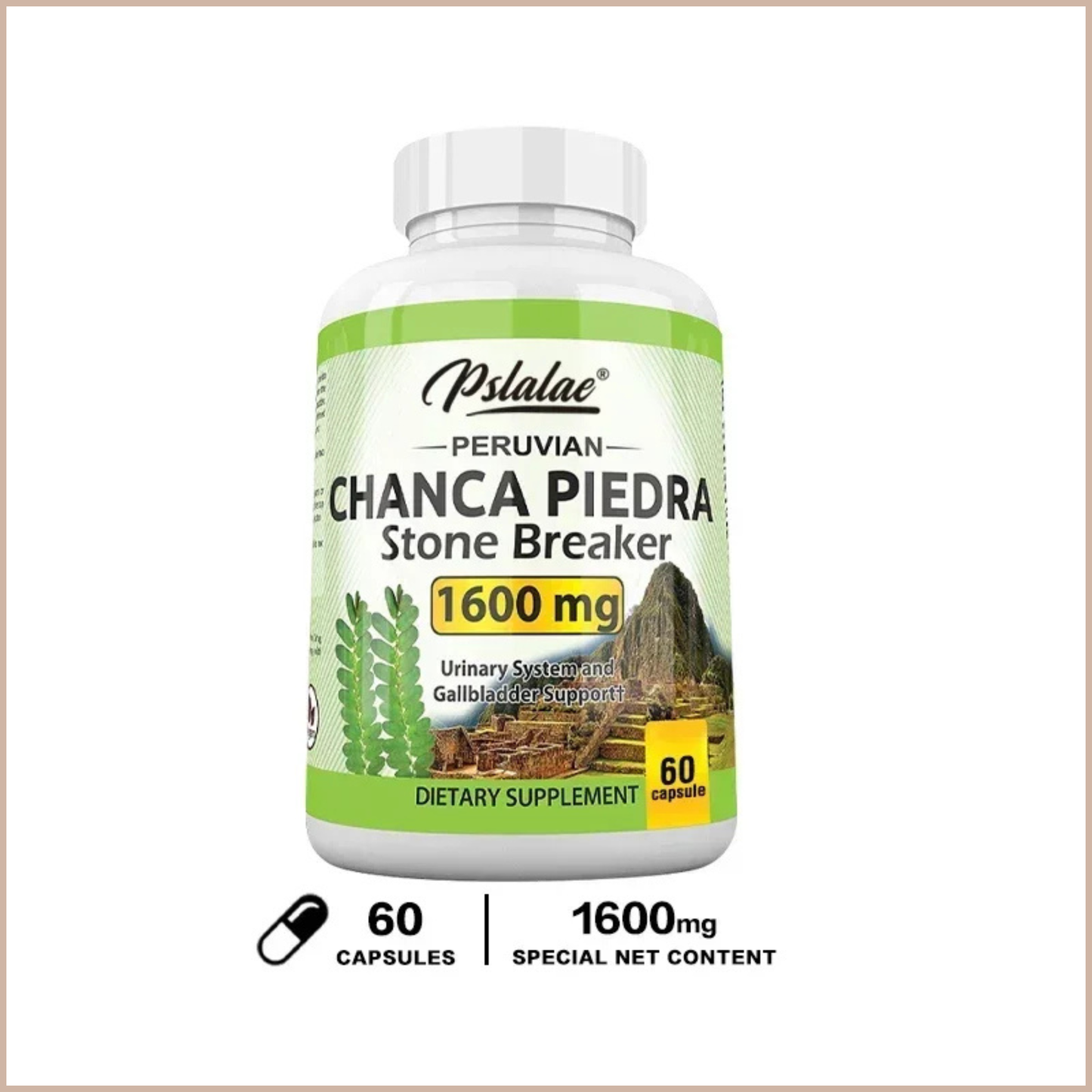 Chanca Piedra Urinary Tract Support Capsules, 60 Count