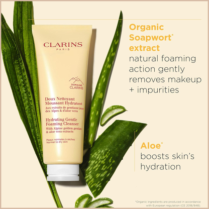 Hydrating Gentle Foaming Face Cleanser – Normal to Dry Skin
