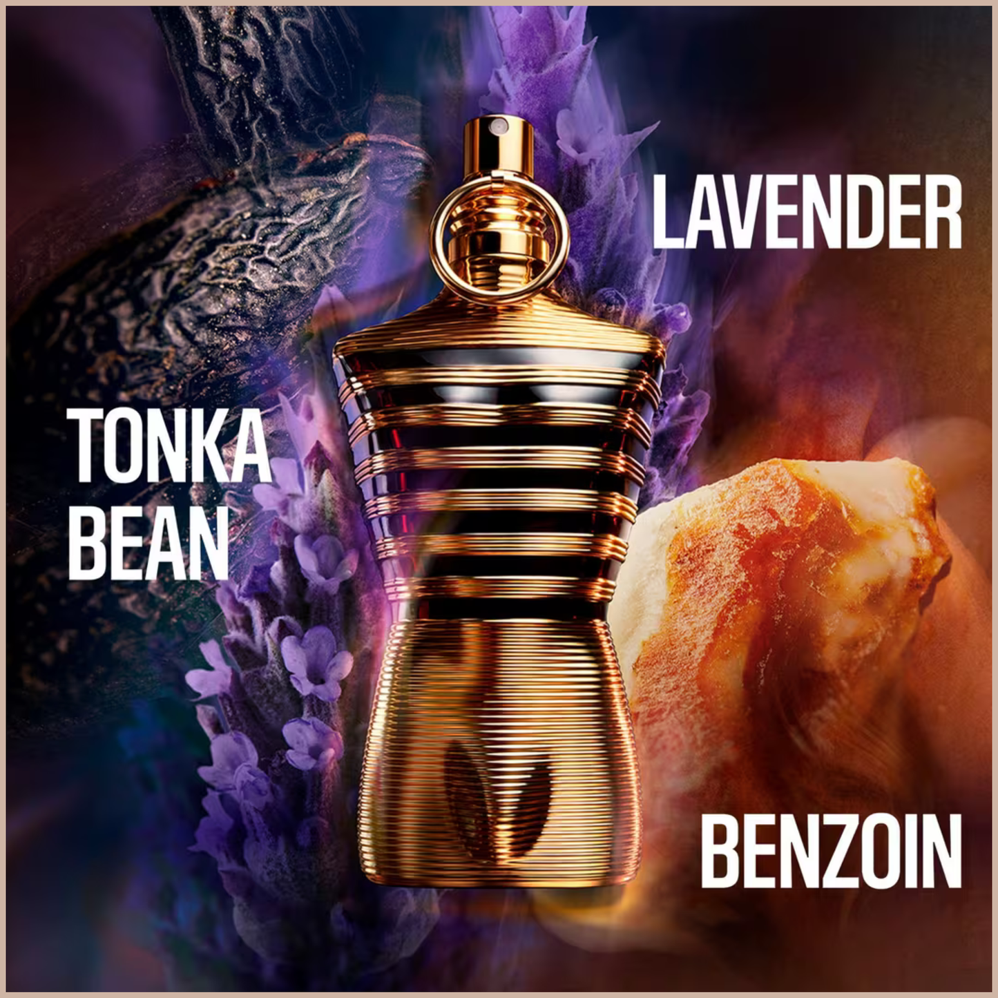 Le Male Elixir Parfum – Woody Aromatic Amber Fragrance with Lavender, Tonka Bean & Benzoin
