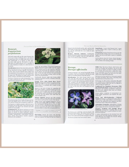 The Lost Book of Herbal Remedies – Plant Identification & Natural Remedies Guide Book