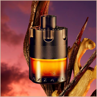 The Most Wanted Parfum – Intense Spicy Fougere Cologne with Red Ginger, Incandescent Woods & Bourbon Vanilla