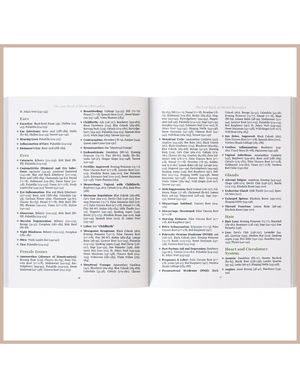 The Lost Book of Herbal Remedies – Plant Identification & Natural Remedies Guide Book