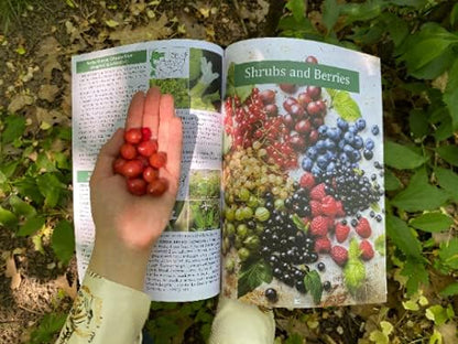 The Forager’s Guide to Wild Foods – Wild Edible Plants & Foraging Field Guide Book