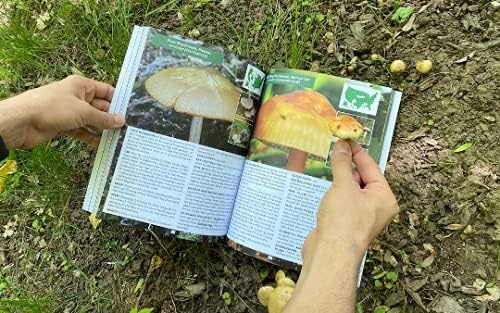 The Forager’s Guide to Wild Foods – Wild Edible Plants & Foraging Field Guide Book