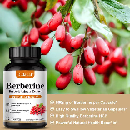 Berberine 500mg Metabolic Support Capsules, 30 Count