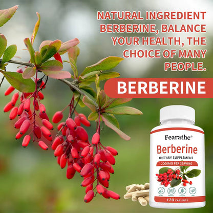Berberine 2000mg Capsules for Metabolic & Digestive Support, 30 Count