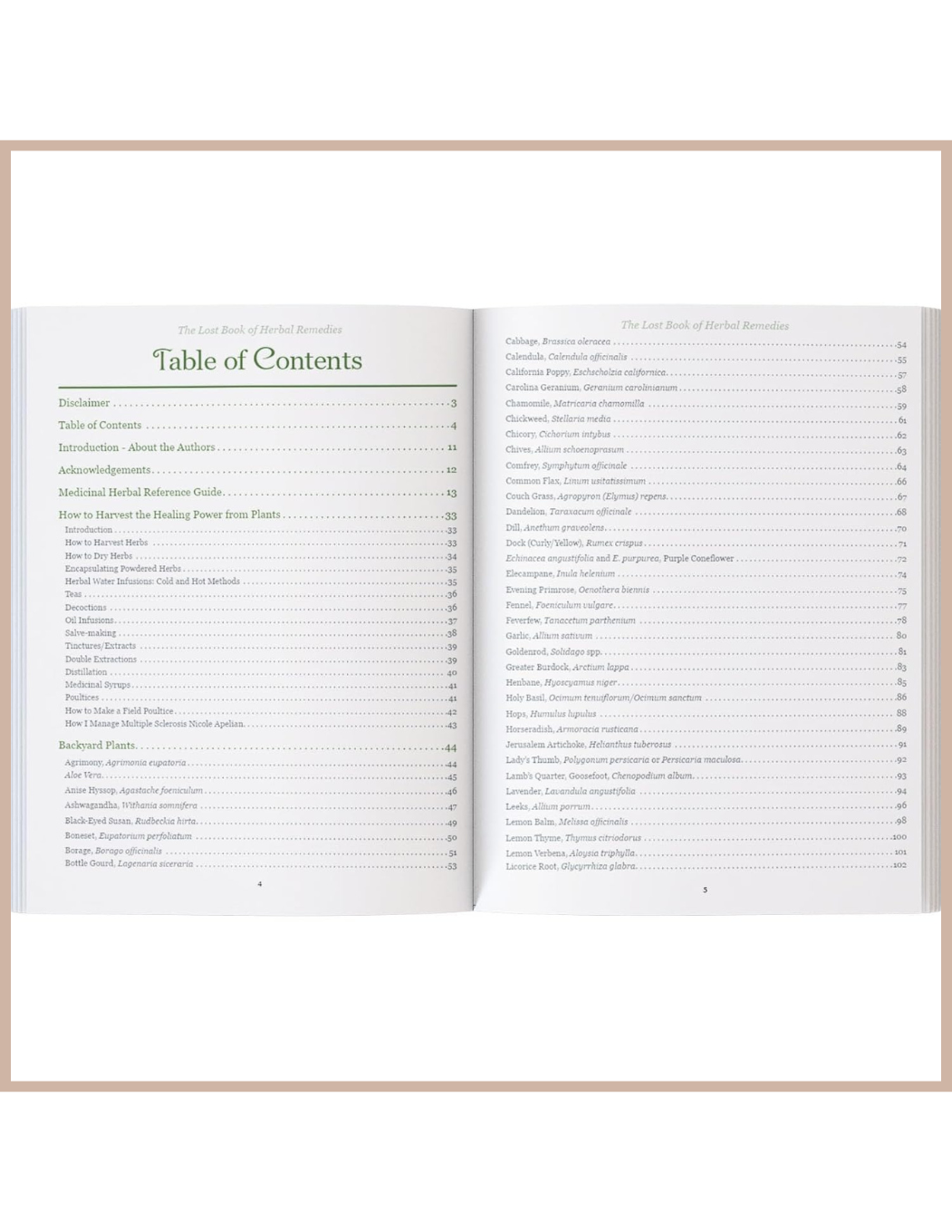 The Lost Book of Herbal Remedies – Plant Identification & Natural Remedies Guide Book