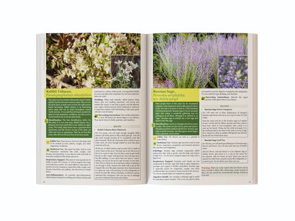 The Lost Book of Herbal Remedies II – Plant Identification & Herbal Reference Guide Book