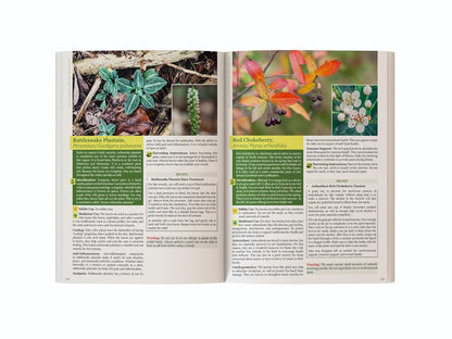 The Lost Book of Herbal Remedies II – Plant Identification & Herbal Reference Guide Book