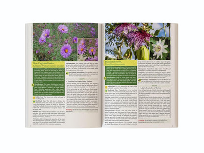 The Lost Book of Herbal Remedies II – Plant Identification & Herbal Reference Guide Book