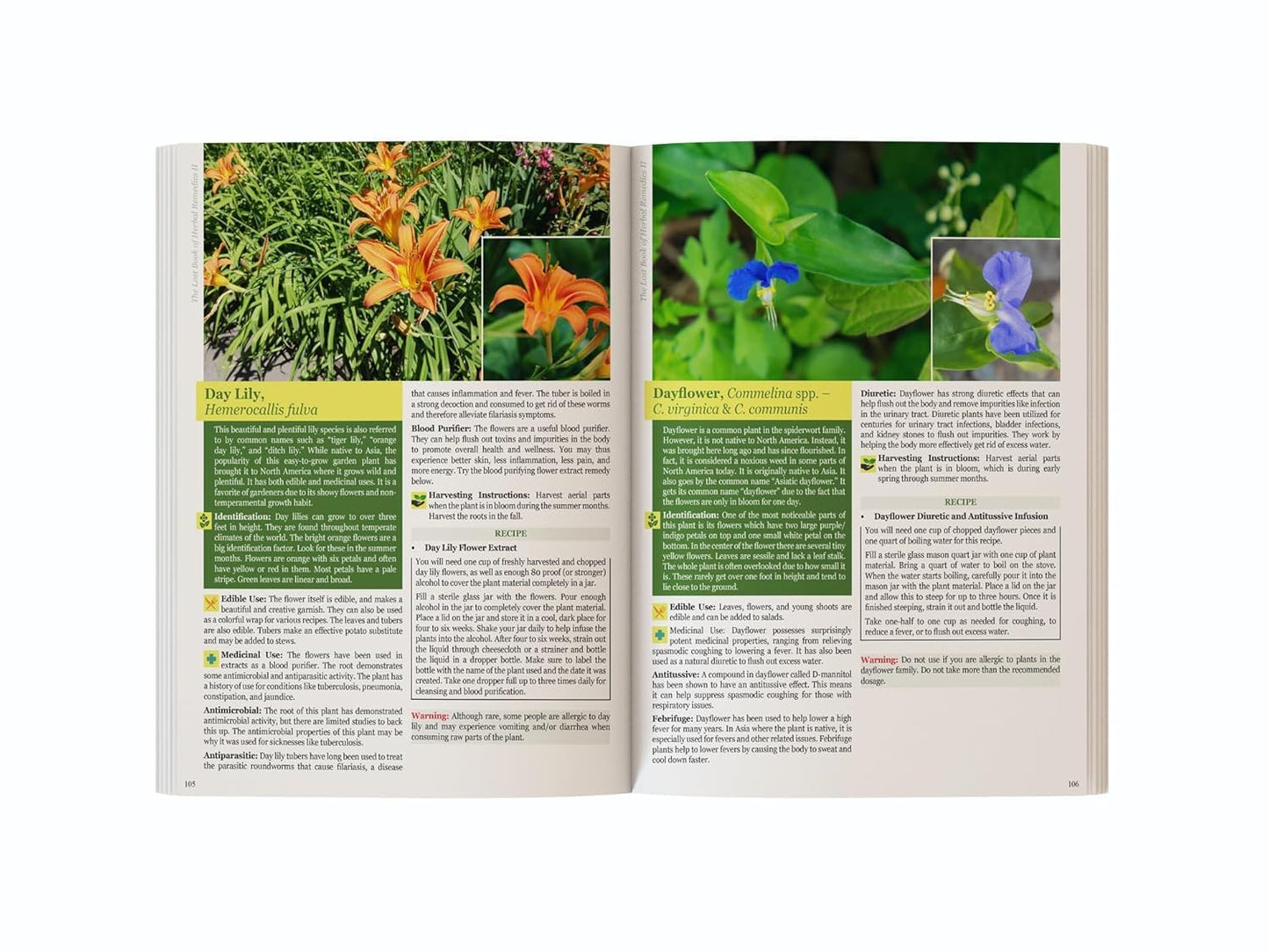 The Lost Book of Herbal Remedies II – Plant Identification & Herbal Reference Guide Book