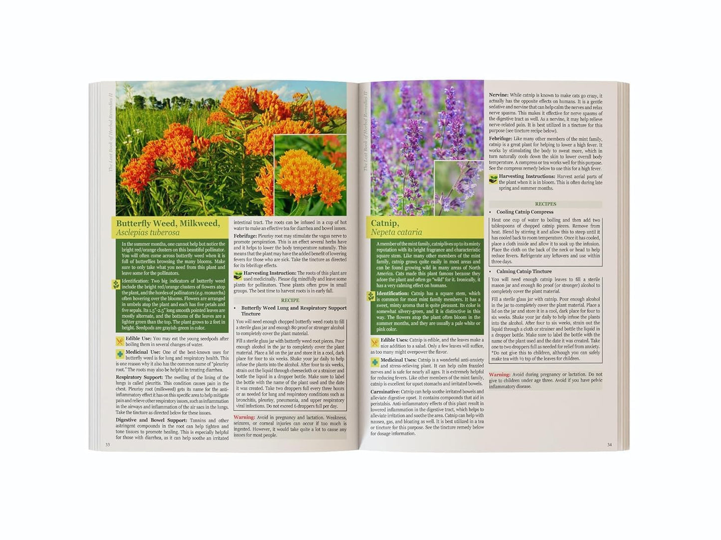 The Lost Book of Herbal Remedies II – Plant Identification & Herbal Reference Guide Book