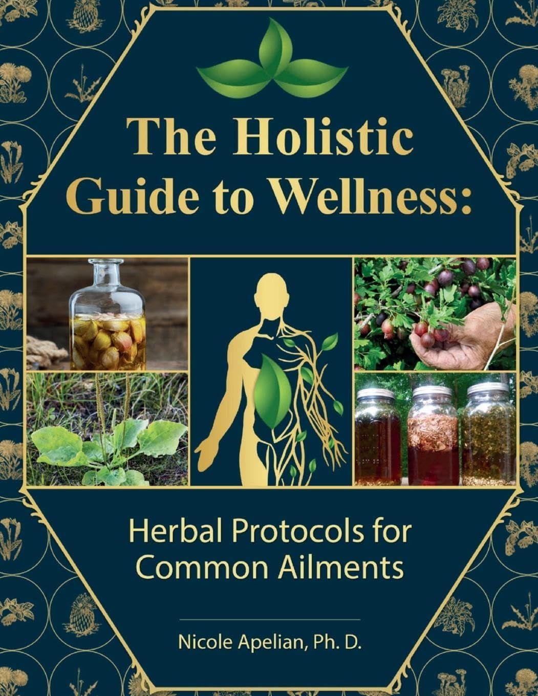 The Holistic Guide to Wellness – 316-Page Print Book
