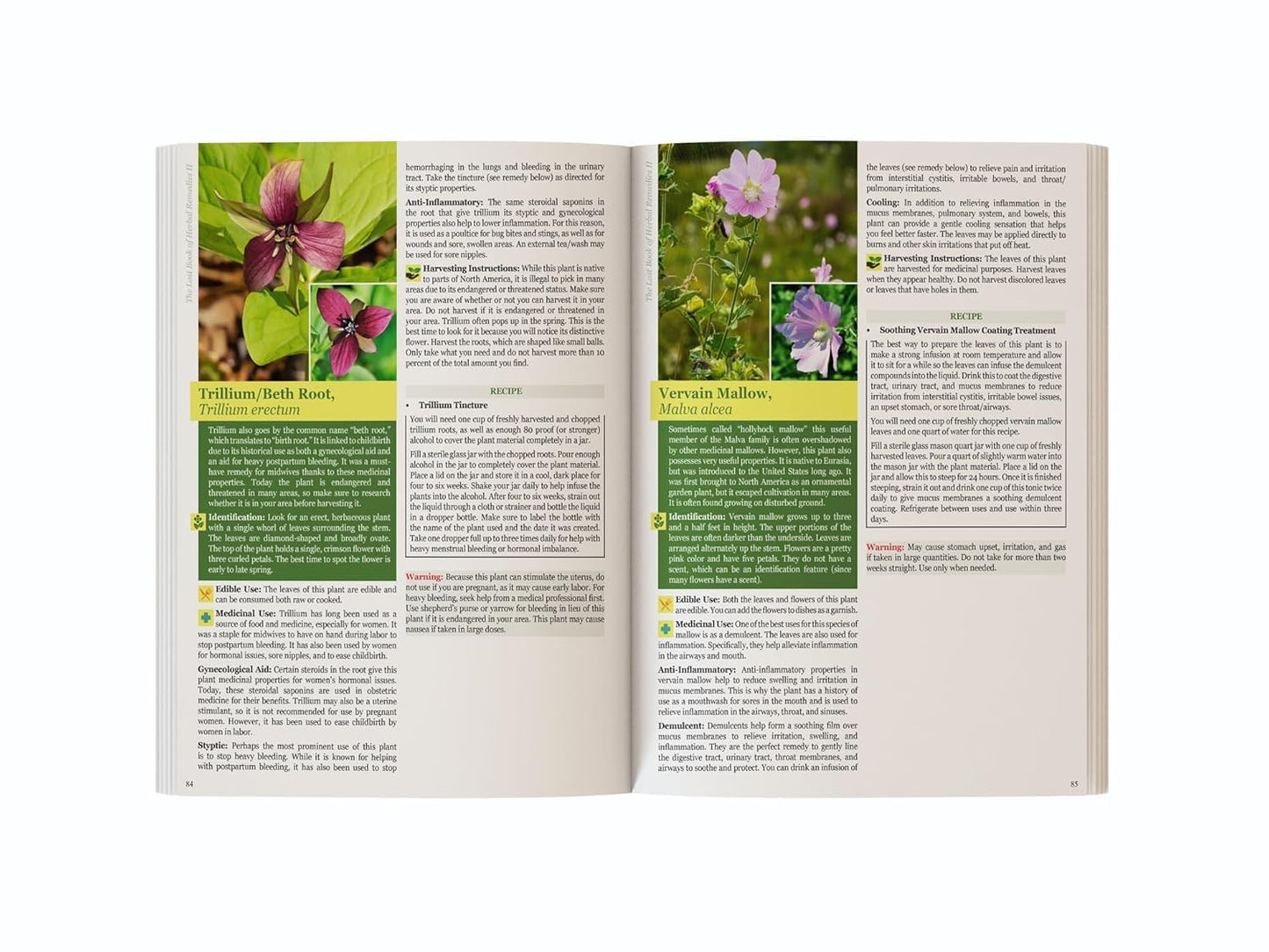 The Lost Book of Herbal Remedies II – Plant Identification & Herbal Reference Guide Book