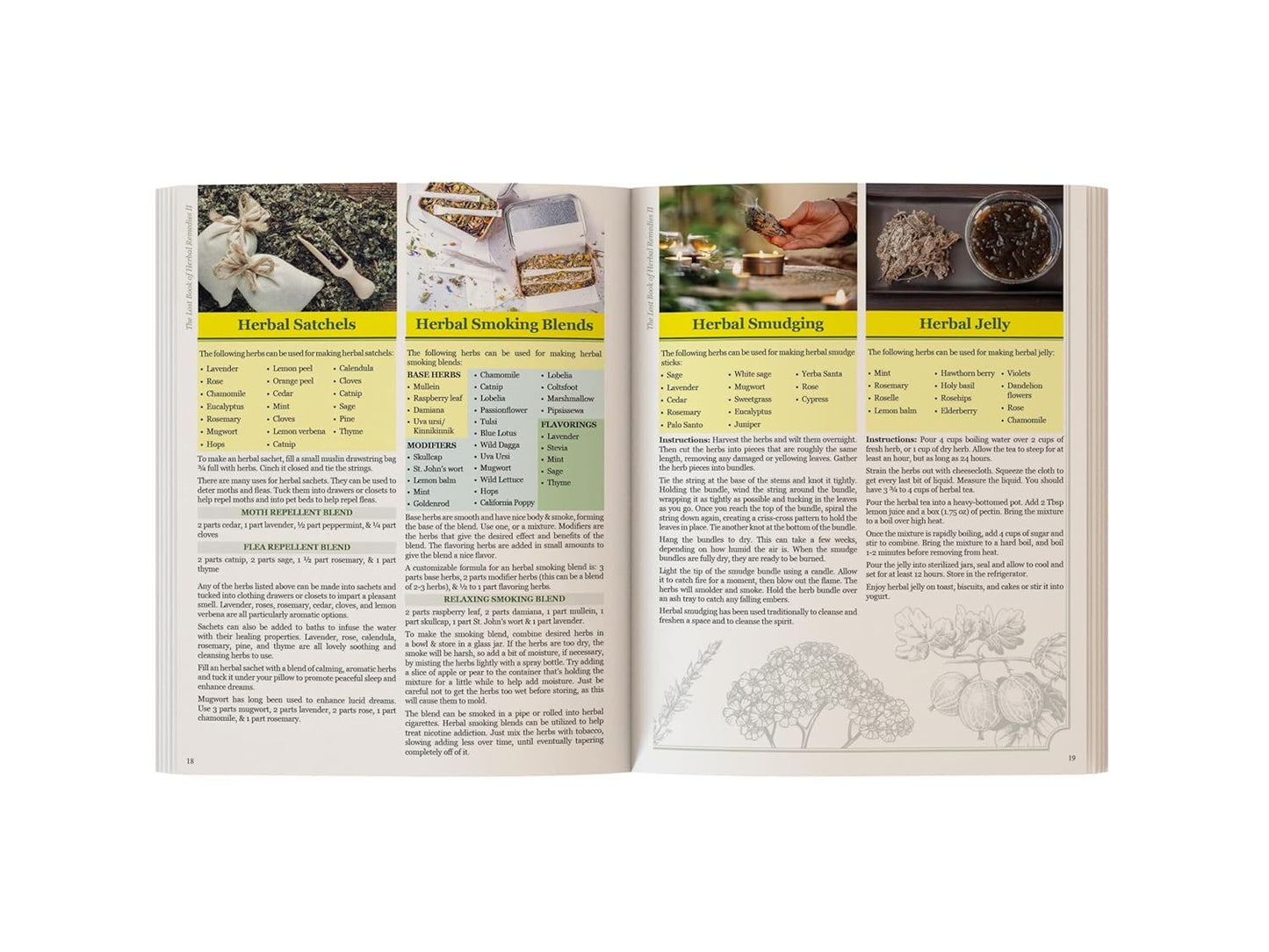 The Lost Book of Herbal Remedies II – Plant Identification & Herbal Reference Guide Book