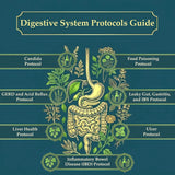 The Holistic Guide to Wellness – 316-Page Print Book