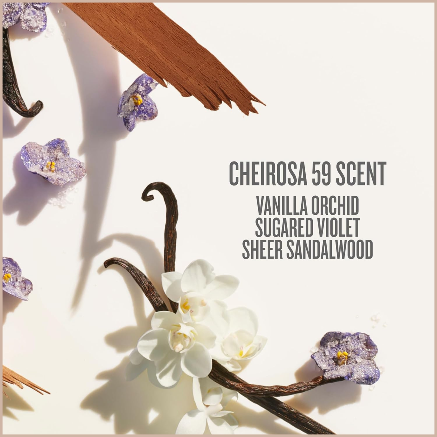 Delícia Drench Body Butter – Deep Moisture Body Cream with Bacuri Butter, Prebiotic Hibiscus & Cheirosa 59 Scent