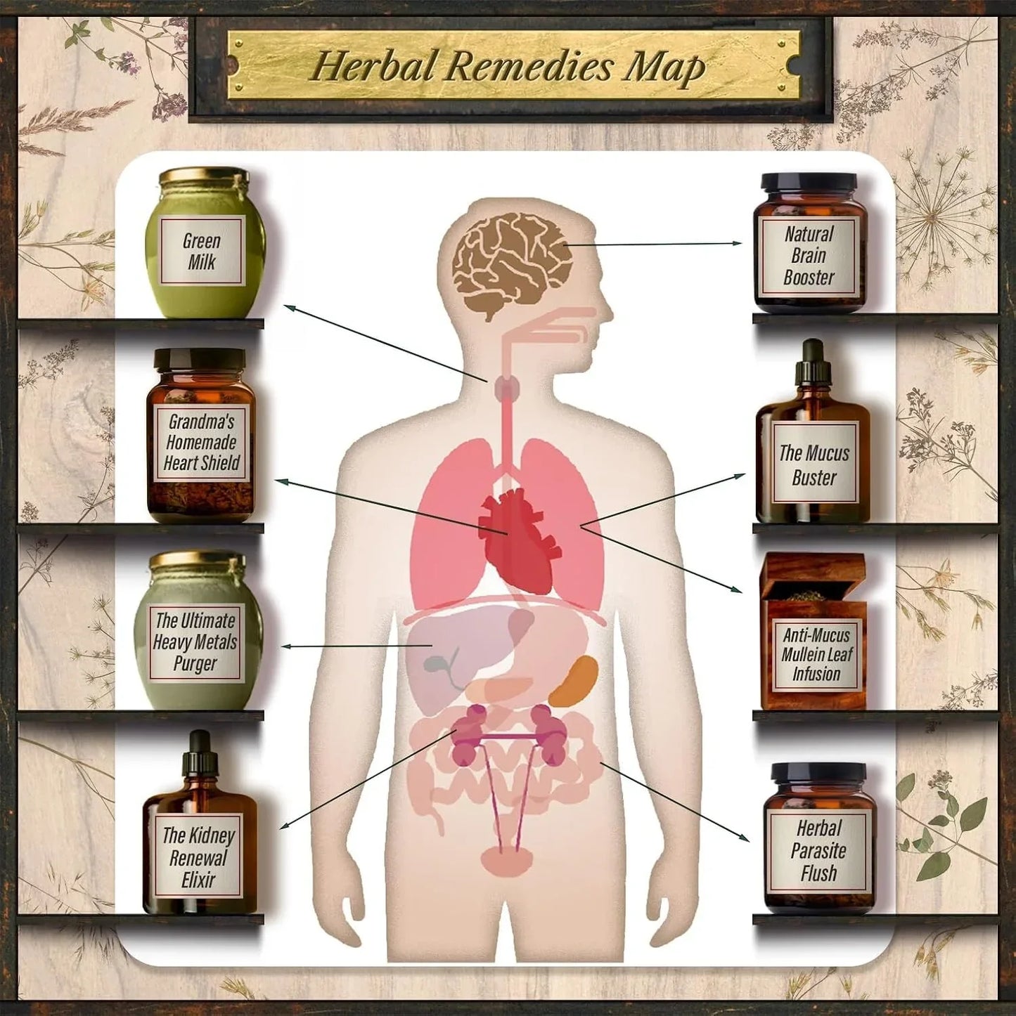 Forgotten Home Apothecary – Traditional Herbal Remedies & Home Apothecary Reference Book