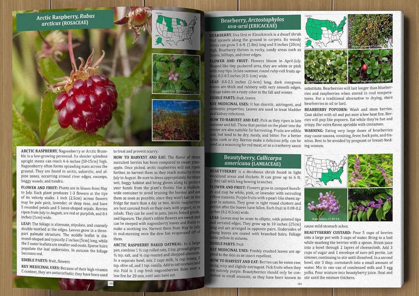 The Forager’s Guide to Wild Foods – Wild Edible Plants & Foraging Field Guide Book