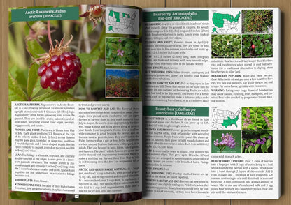 The Forager’s Guide to Wild Foods – Wild Edible Plants & Foraging Field Guide Book