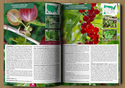 The Forager’s Guide to Wild Foods – Wild Edible Plants & Foraging Field Guide Book