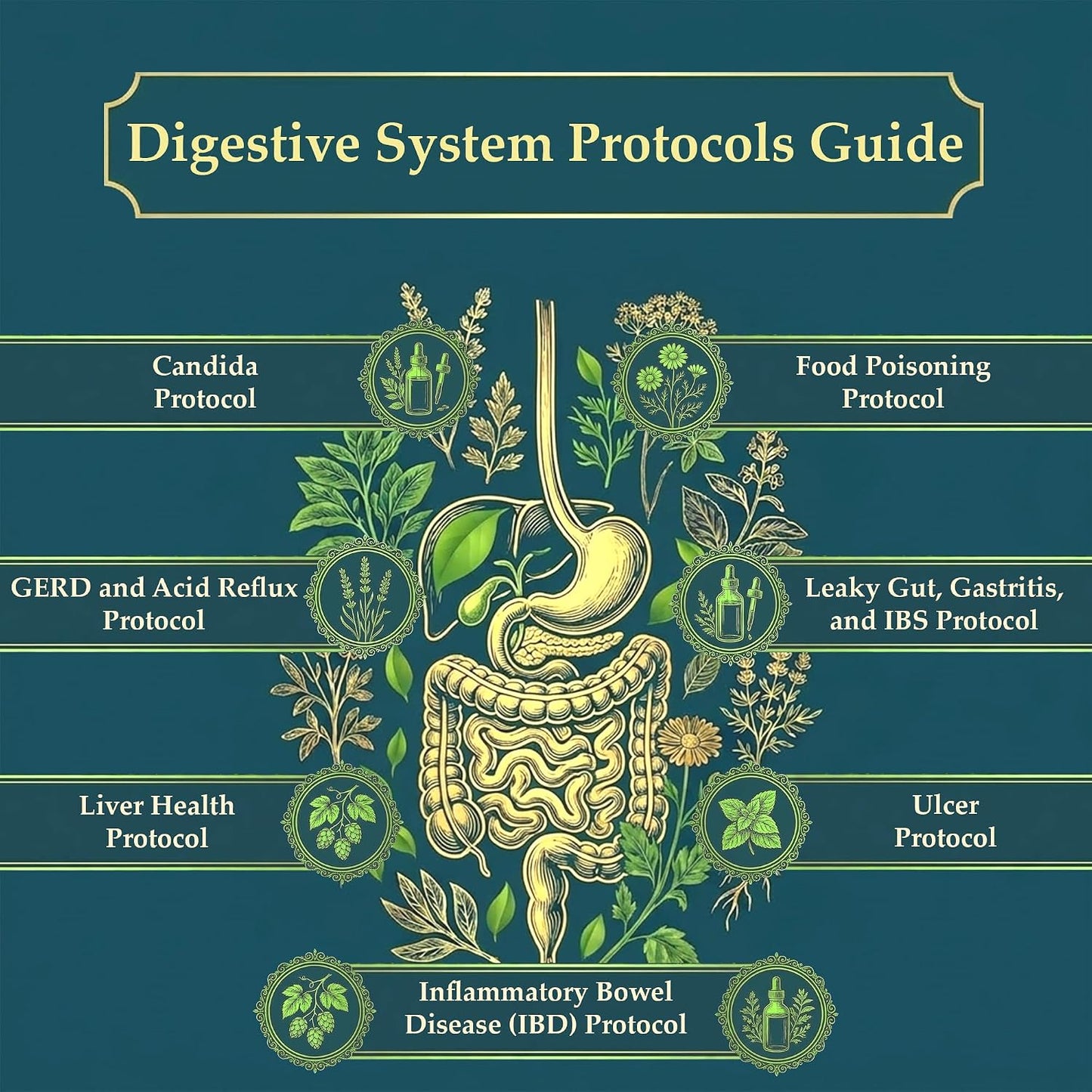 The Holistic Guide to Wellness – 316-Page Print Book