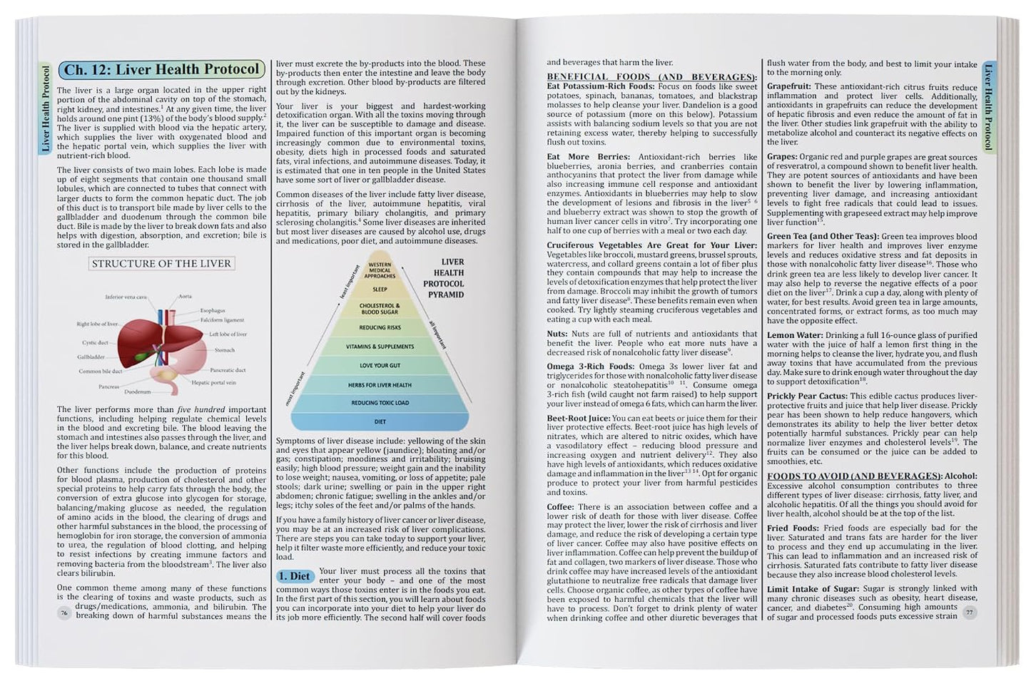 The Holistic Guide to Wellness – 316-Page Print Book