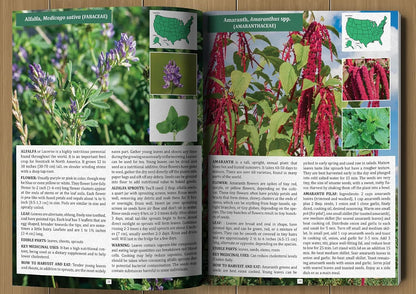 The Forager’s Guide to Wild Foods – Wild Edible Plants & Foraging Field Guide Book
