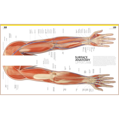 The Complete Human Body – Illustrated 3D Anatomy Atlas, Physiology Guide & Medical Conditions Reference (3rd Edition)