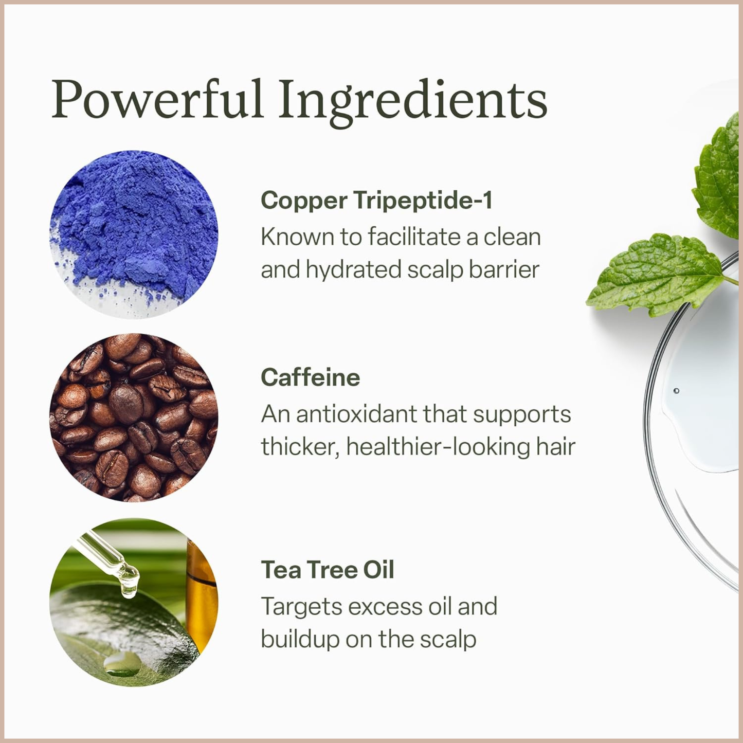 Scalp Health Serum – Hair Density & Fullness Support for Thinning Hair