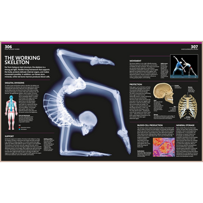 The Complete Human Body – Illustrated 3D Anatomy Atlas, Physiology Guide & Medical Conditions Reference (3rd Edition)