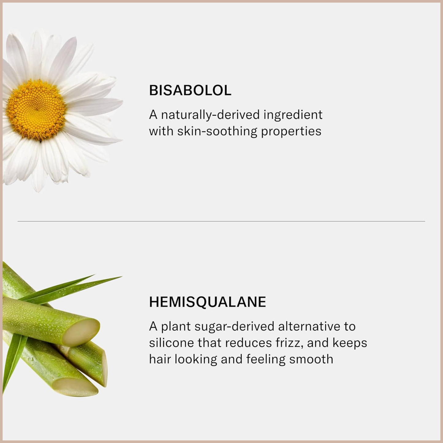 Gentle Frizz-Control Shampoo – Dermatologist-Designed Care for Sensitive Scalp & Hair