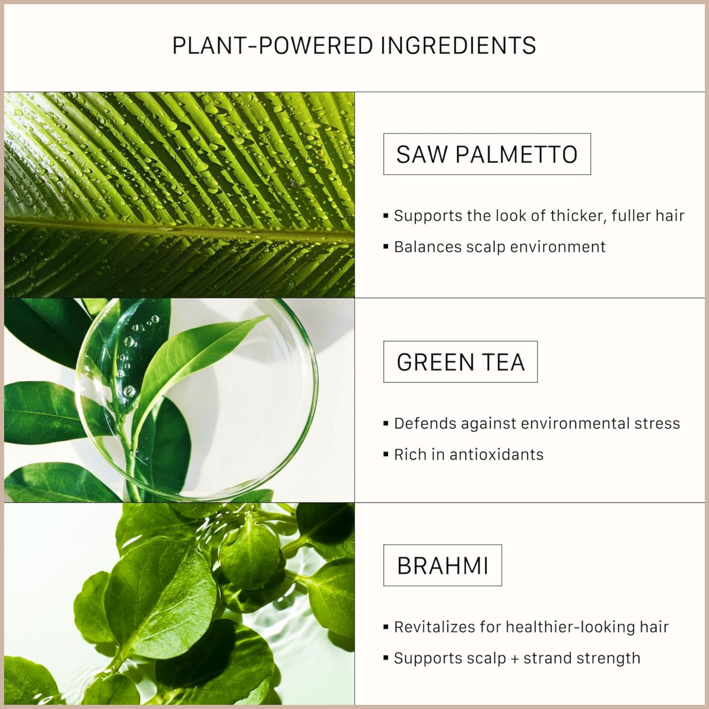 Hair Thickening Cleansing Treatment – Strengthening Shampoo for Fuller, Healthier-Looking Hair
