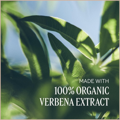 Verbena Hand Lotion for Deep Hydration, Soft Skin & Citrus Fresh Scent