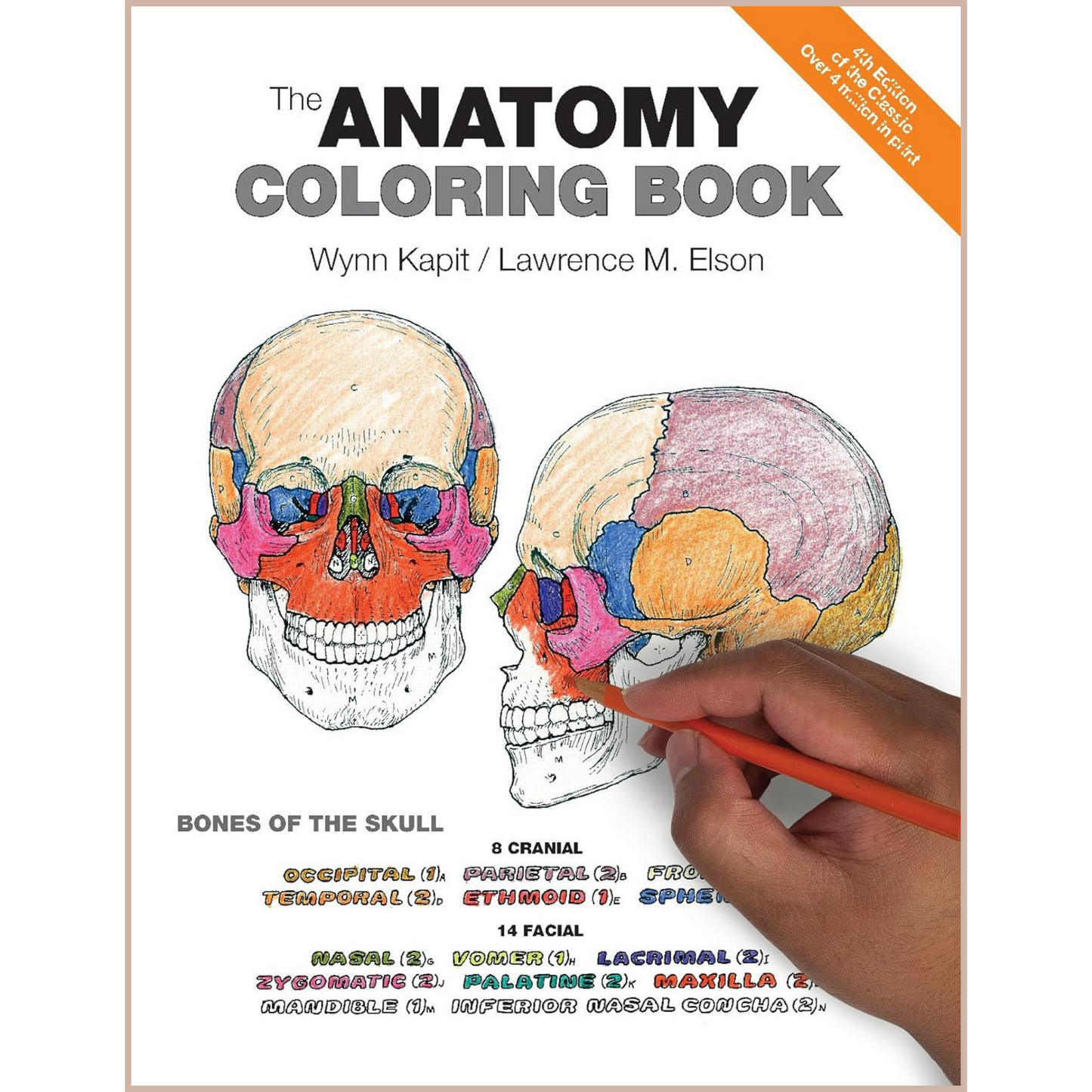 The Anatomy Coloring Book, 4th Edition – Human Anatomy Learning Guide with Interactive Coloring & Study System