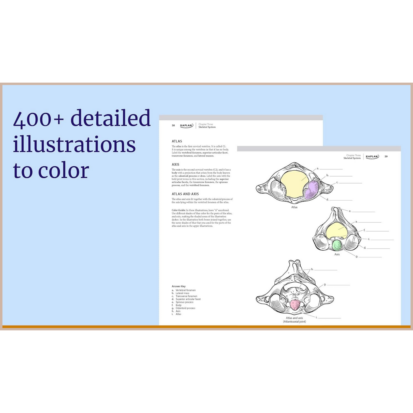 Anatomy Coloring Book – Interactive Human Anatomy Study Guide with Medical Illustrations & Self-Testing System