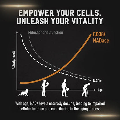 Liposomal NAD Cellular Energy Support Capsules, 60 Count