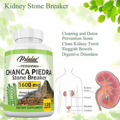 Chanca Piedra Urinary Tract Support Capsules, 60 Count